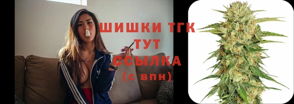 амф Заводоуковск