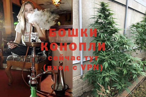 амф Заводоуковск