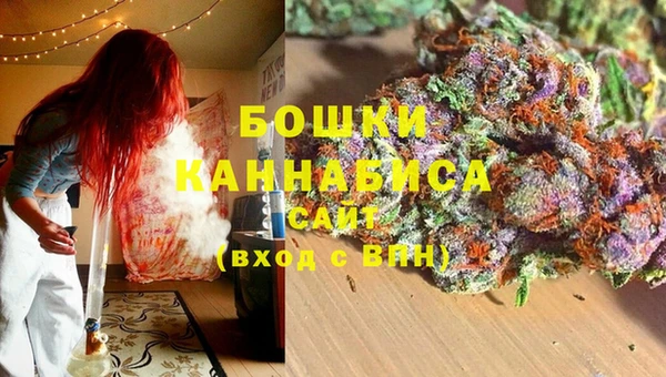 спиды Елизово