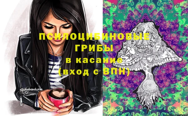 амф Заводоуковск