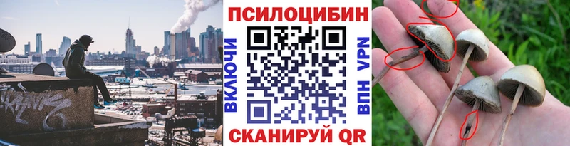 Псилоцибиновые грибы Psilocybine cubensis  Судак 